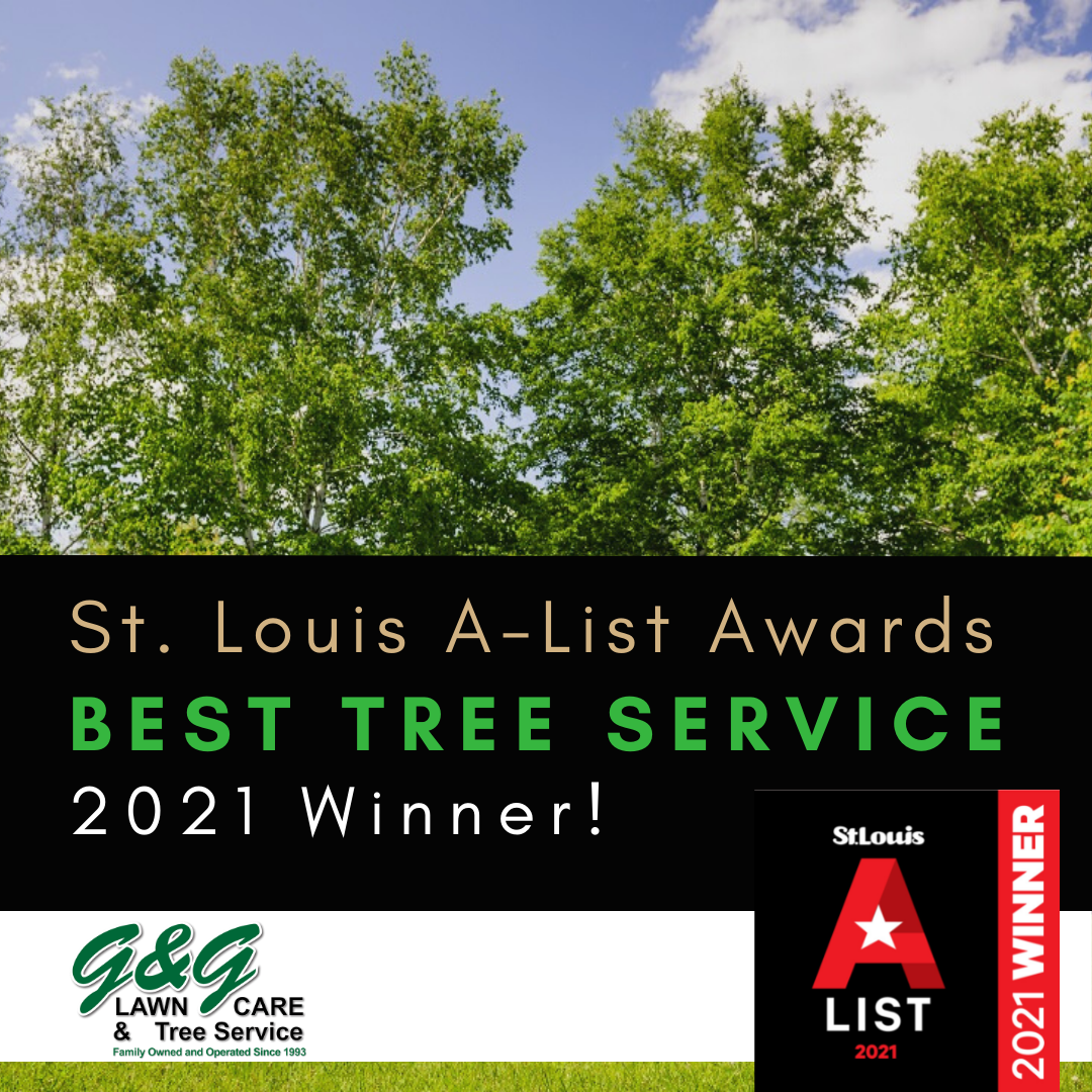 We Won AList! St. Louis Magazine AList Award Winning Tree Care by G&G