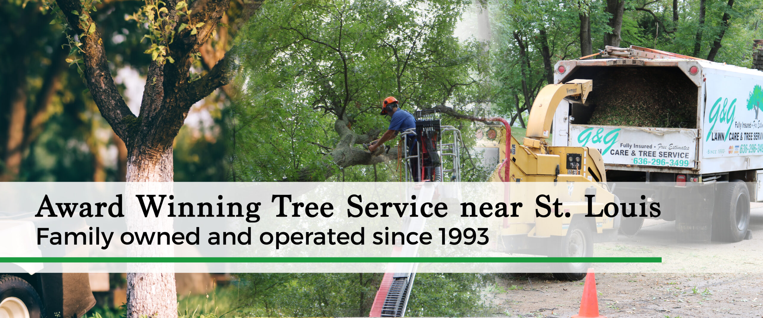 Local Tree Removal Company - St. Louis